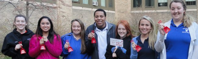 SADD – Tulip Bulbs1