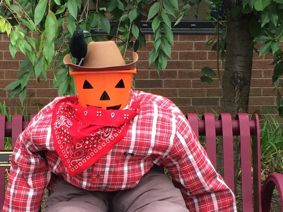 life skills fall courtyard