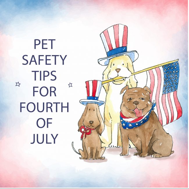Pet Safety Tips