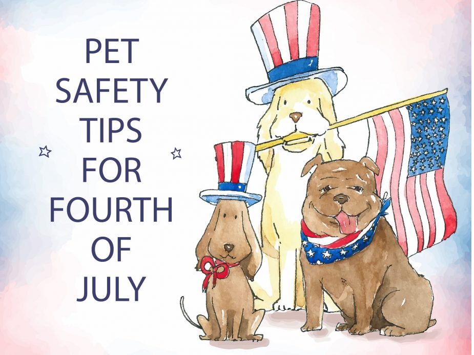 Pet Safety Tips