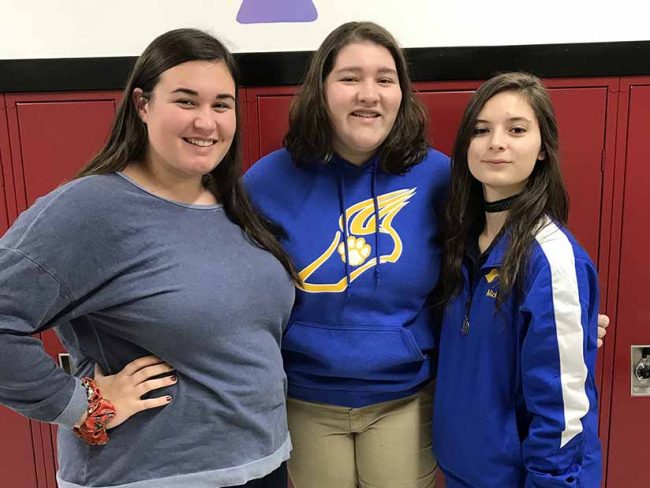 Valley View HS District 9 Band Festival