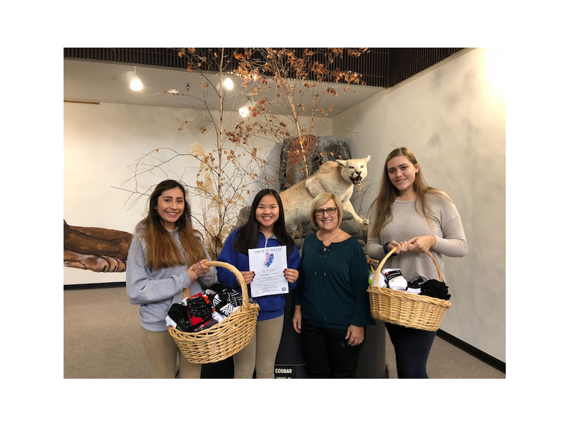 Valley View Sock Drive