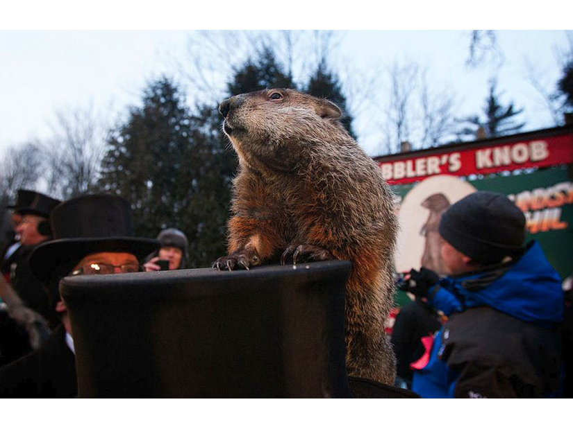 Groundhog Day Fun Facts – The Paper Shop