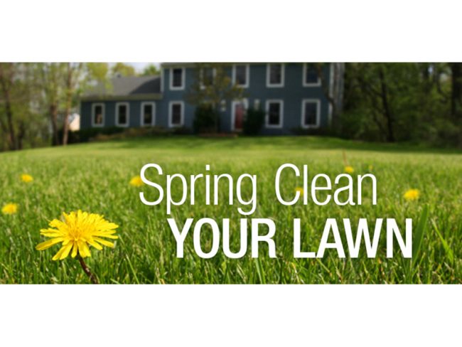 Spring-Lawn-Care-Tips 3