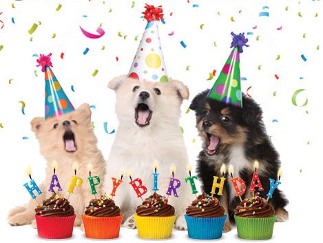 bday_2015