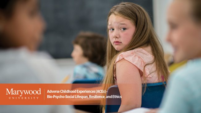 Adverse Childhood Experiences (ACEs) – Bio-Psycho-Social Lifespan, Resilience, and Ethics