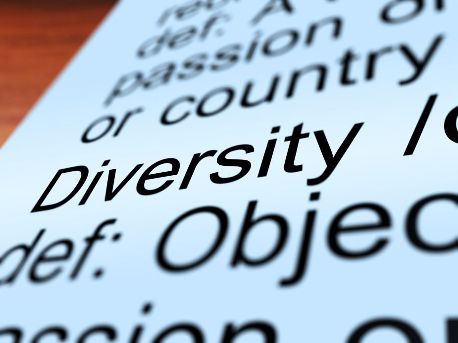 Diversity Definition Closeup Showing Different Or Diverse