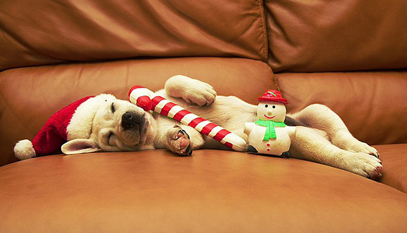 Holiday-Hangover-l